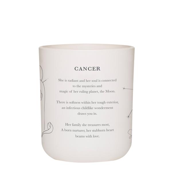 DAMSELFLY CANCER CANDLE